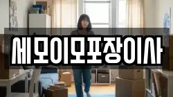 세모이모포장이사
