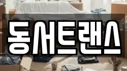 동서트랜스