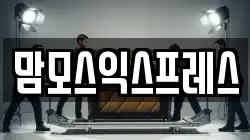 맘모스익스프레스