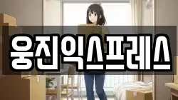 웅진익스프레스