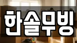 한솔무빙