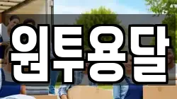 원투용달