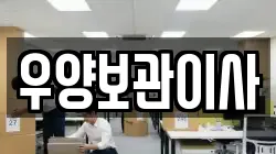 대구 서구 이사,포장이사,반포장이사,원룸이사,사무실이사,용달이사,전국이사,보관이사