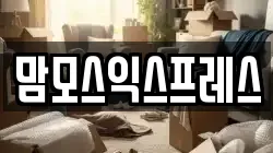 맘모스익스프레스