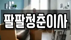 팔팔청춘이사