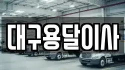 대구용달이사