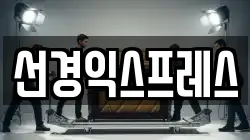 대전광역시 대덕구 덕암동 이사,포장이사,반포장이사,원룸이사,사무실이사,용달이사,전국이사,보관이사