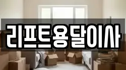 리프트용달이사