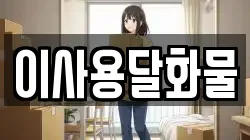 이사용달화물