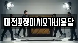 대전포장이사오가네용달