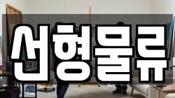 선형물류