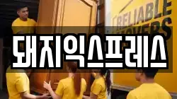 돼지익스프레스