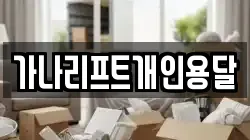 가나리프트개인용달