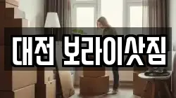 대전 보라이삿짐