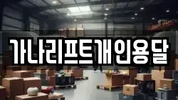 가나리프트개인용달