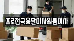프로전국용달이사원룸이사