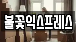 불꽃익스프레스