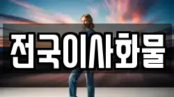 전국이사화물