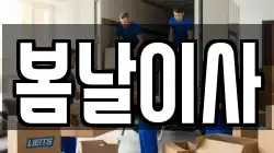 대전광역시 서구 정림동 이사,포장이사,반포장이사,원룸이사,사무실이사,용달이사,전국이사,보관이사