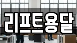 리프트용달