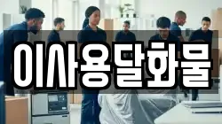 이사용달화물
