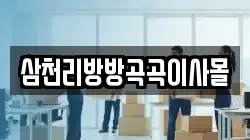 삼천리방방곡곡이사몰