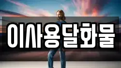 이사용달화물