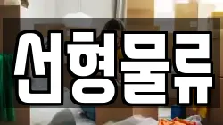 선형물류