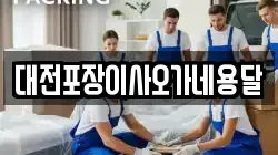 대전포장이사오가네용달