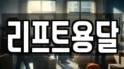 리프트용달