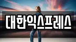 대한익스프레스