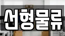 선형물류