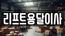 리프트용달이사