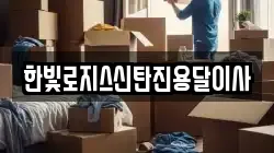 한빛로지스신탄진용달이사