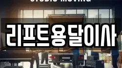 리프트용달이사