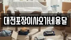 대전포장이사오가네용달