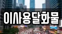 이사용달화물