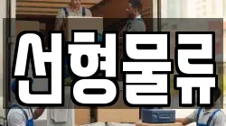 선형물류