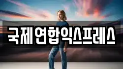 국제연합익스프레스