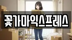 꽃가마익스프레스