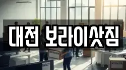 대전 보라이삿짐