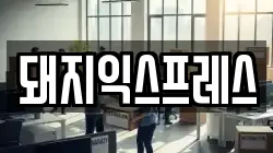 돼지익스프레스