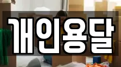 대전 서구 만년동 이사,포장이사,반포장이사,원룸이사,사무실이사,용달이사,전국이사,보관이사