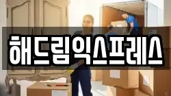 해드림익스프레스