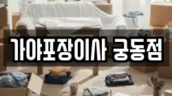 가야포장이사 궁동점