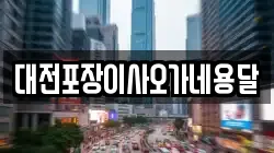 대전포장이사오가네용달