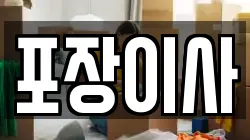 포장이사