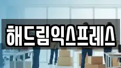 해드림익스프레스