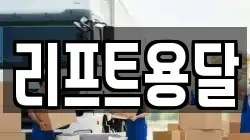 리프트용달