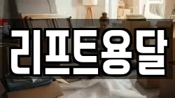 리프트용달